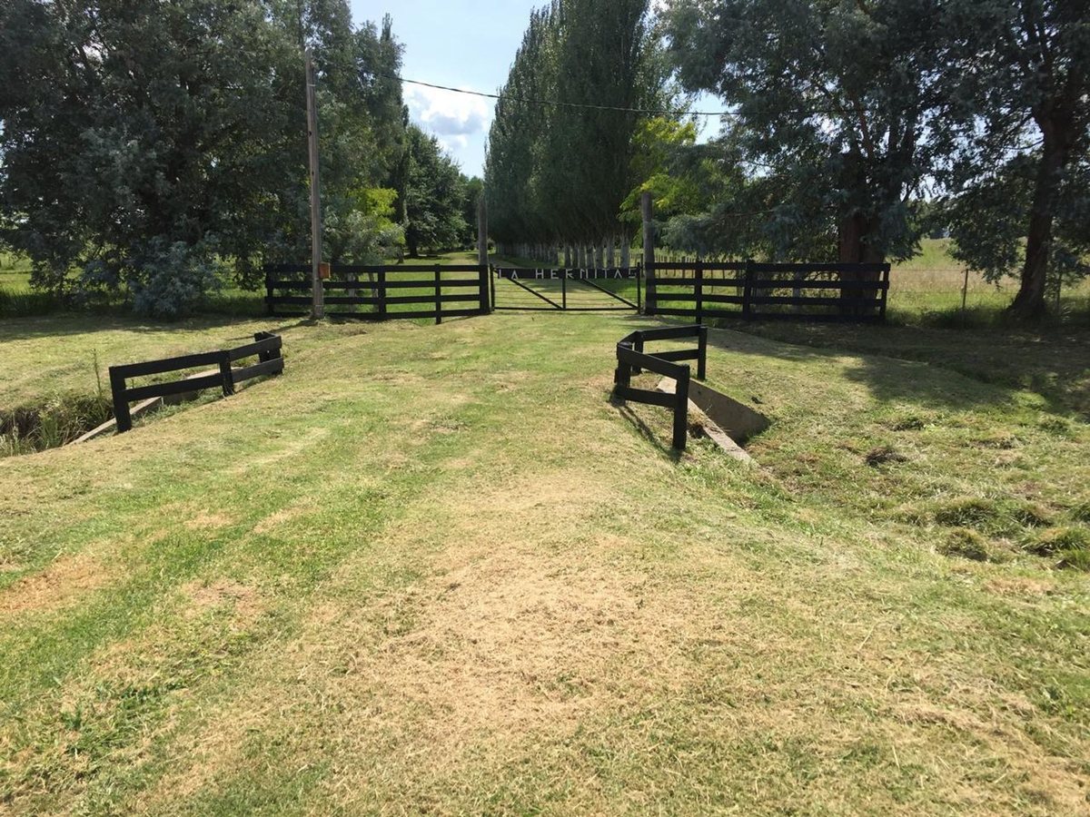 Foto 9 — CAMPO EN VENTA EN GENERAL LAS HERAS