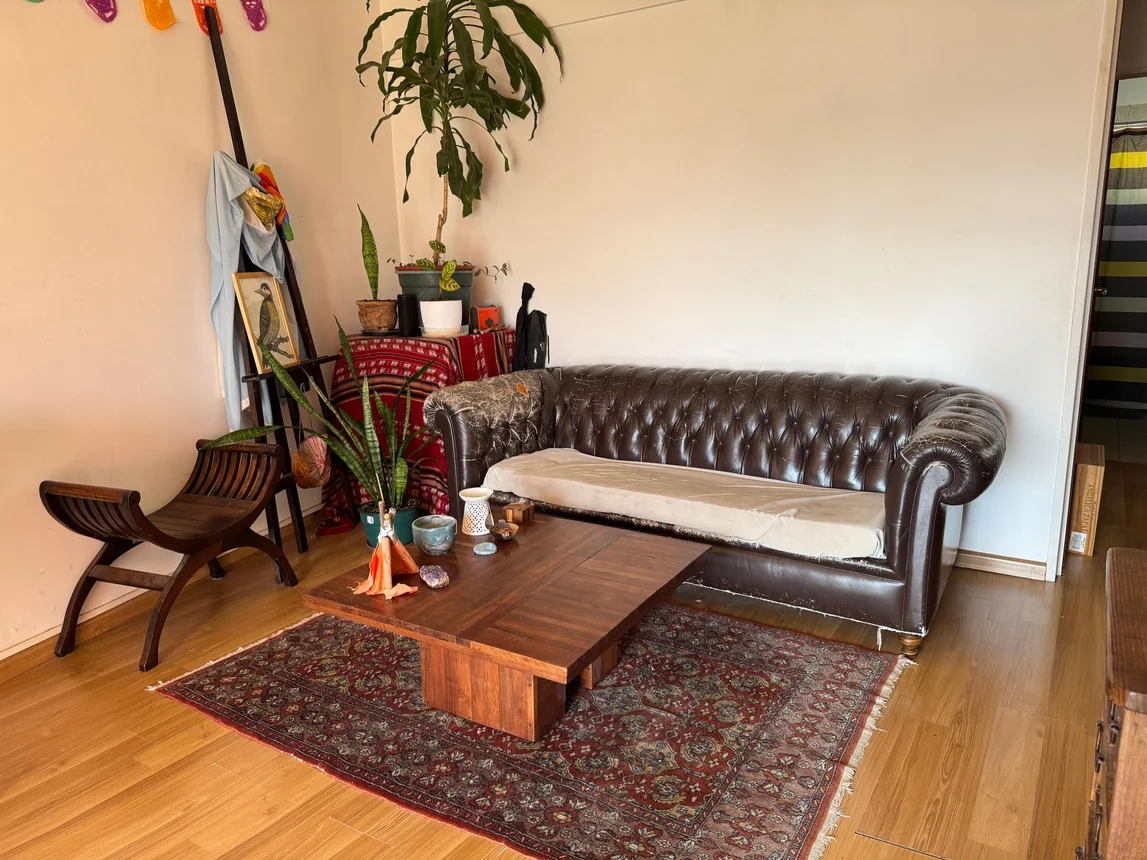 Semipiso de 3 ambientes en venta en Victoria, Dr. Alfredo Palacios 1300, foto 5