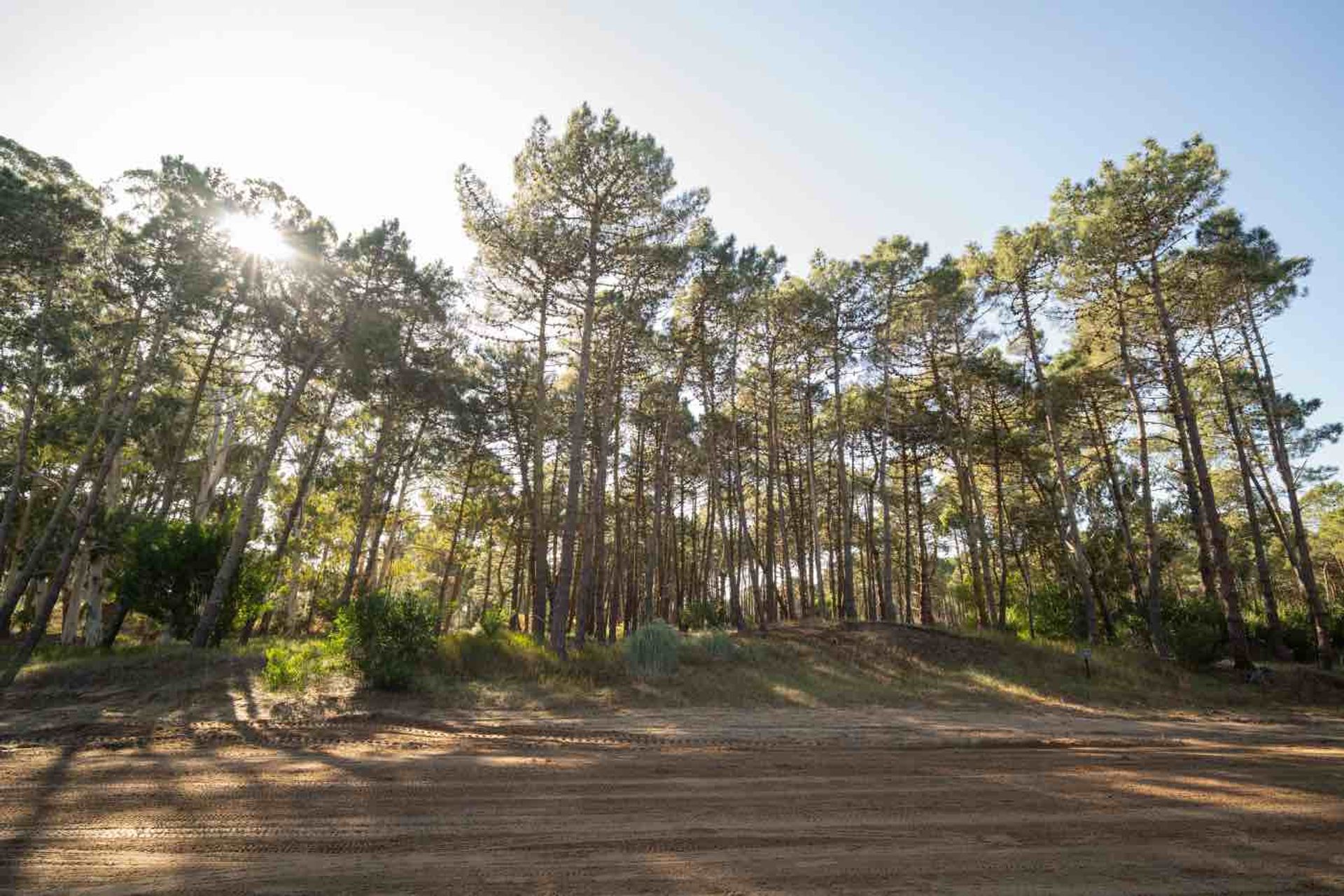 VENTA LOTE BARRIO BOSQUES ETAPA 1