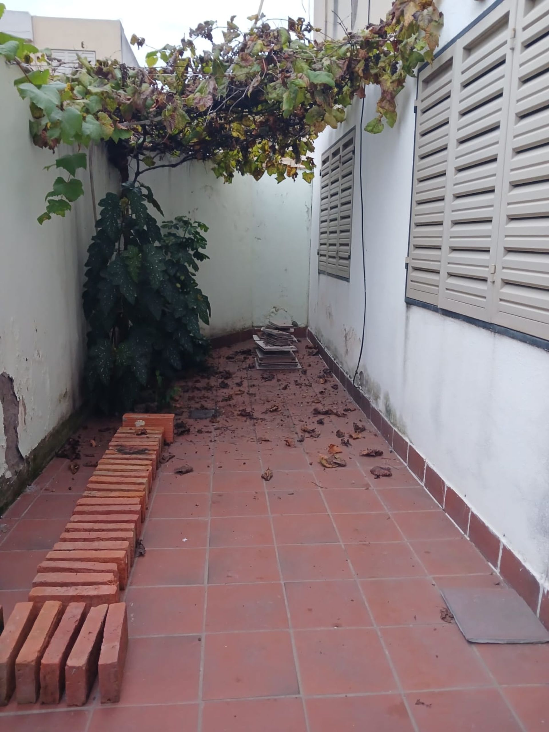 DEPARTAMENTO VENTA MACROCENTRO CASEROS 2100 - foto 15