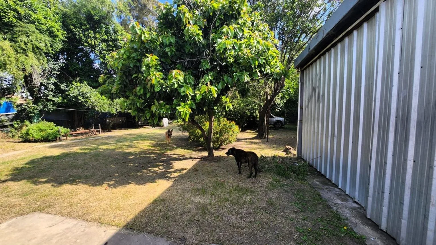 Casa en venta en Grand Bourg, foto 2