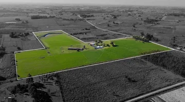 VENTA CHACRA 11 HAS SAUCE CASA BARBACOA Y GALPON