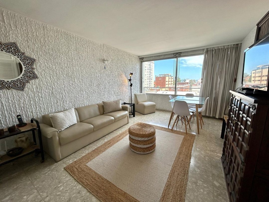 VENTA APARTAMENTO 1 DORMITORIO Y MEDIO PENINSULA