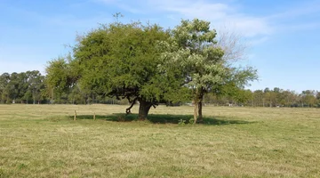 Venta lote 250 m2 en "Solares de Korn" s/ expensas