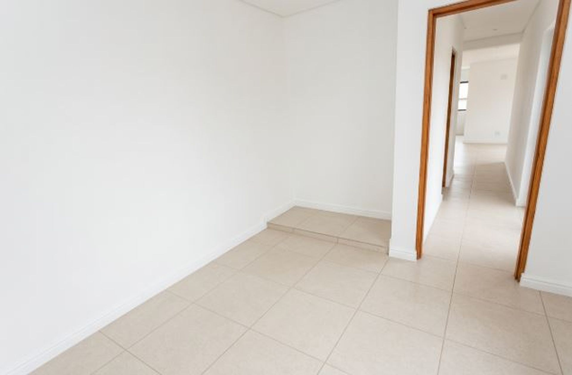 Imagen 20