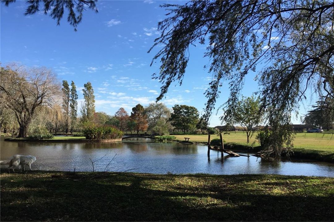 VENTA DE CAMPO 17 HECTAREAS EN MANZANARES PILAR