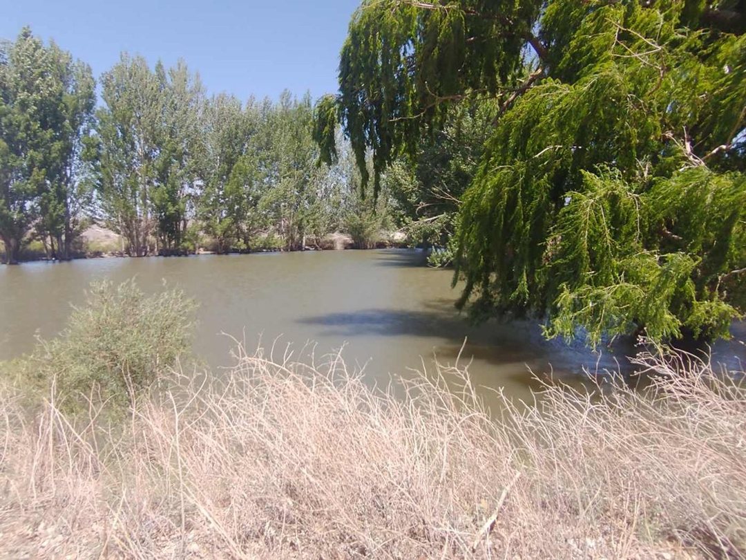 Campo agrícola con derecho de agua para 65 has.