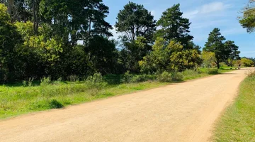 Venta Lote Rocha Santa Isabel de la Pedrera