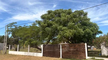 VENTA DE TERRENO DE 348m2 EN SAN LUIS (NORTE)