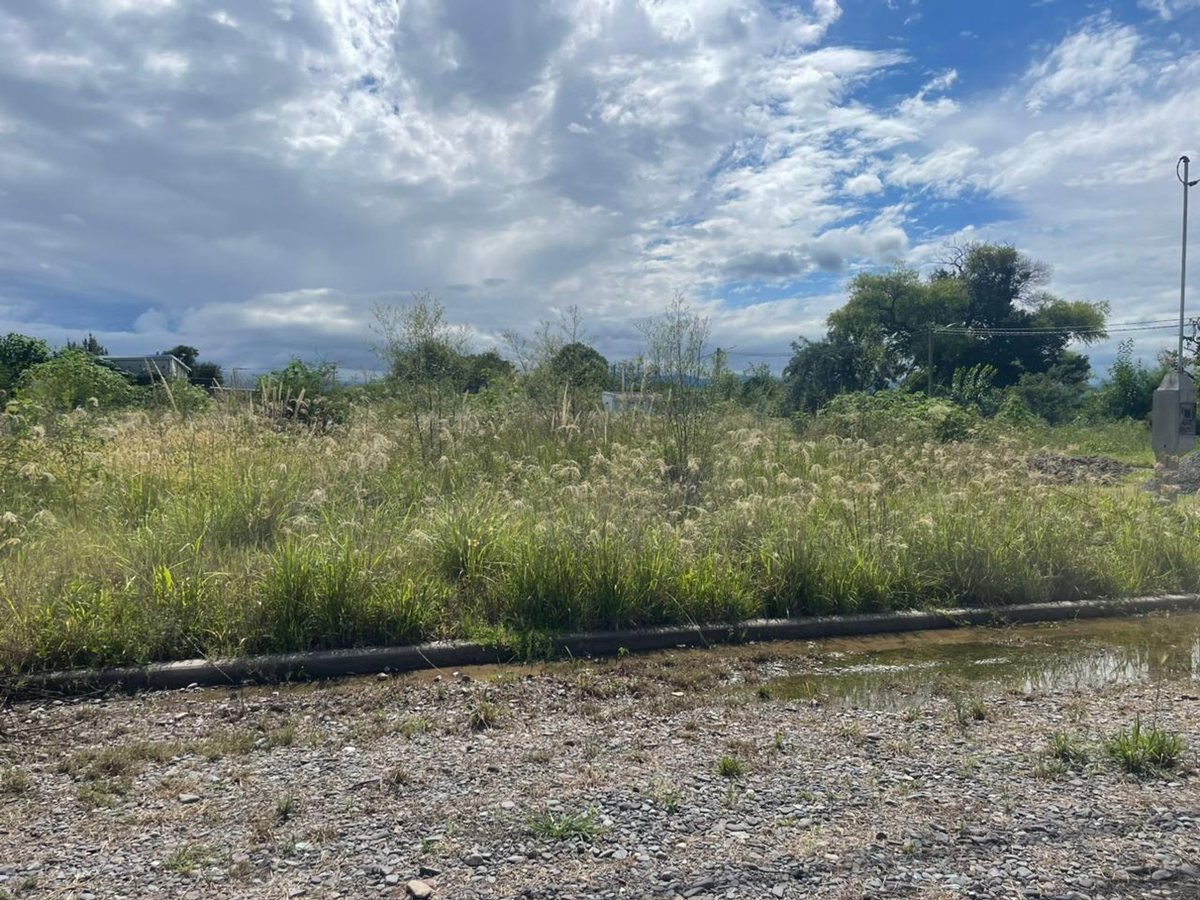 TERRENO VENTA LA CELESTINA CERRILLOS 354 M2 - foto 3