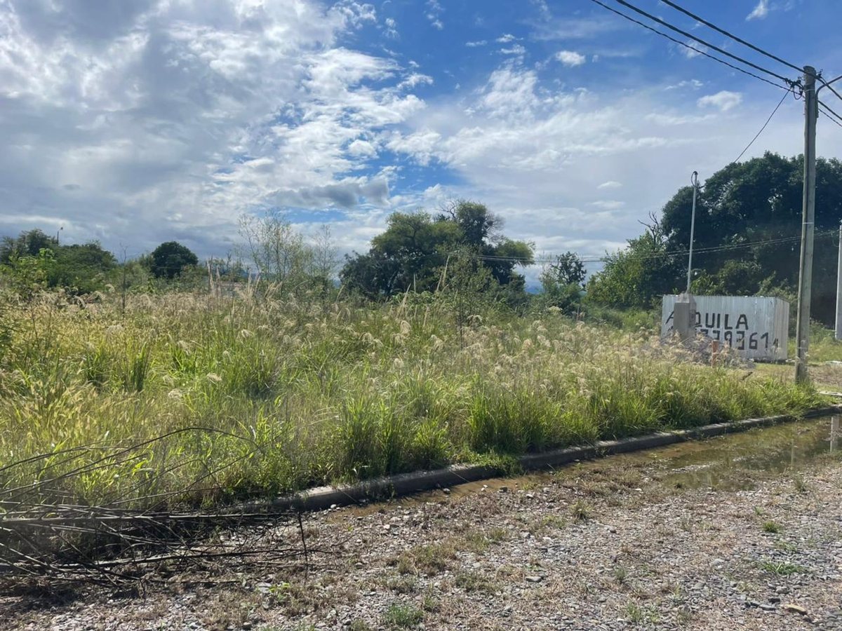 TERRENO VENTA LA CELESTINA CERRILLOS 354 M2 - foto 4