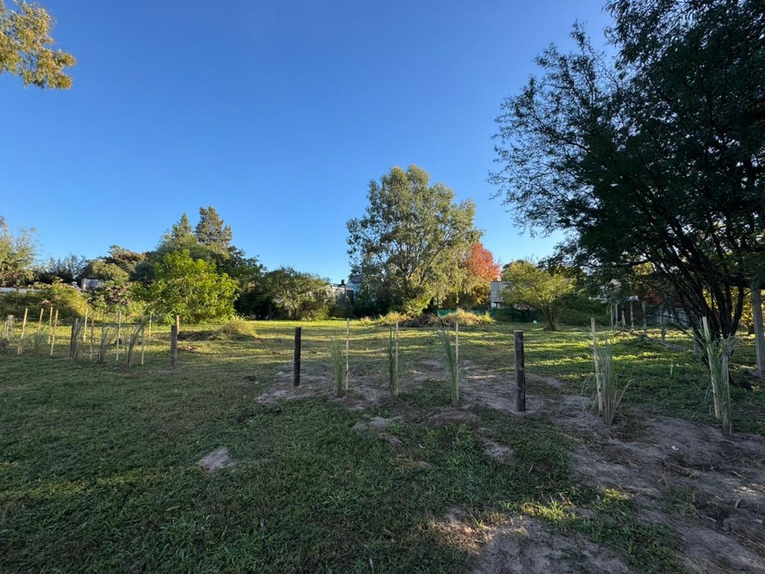 VENTA LOTE FORESTADO EN COLASTINÉ