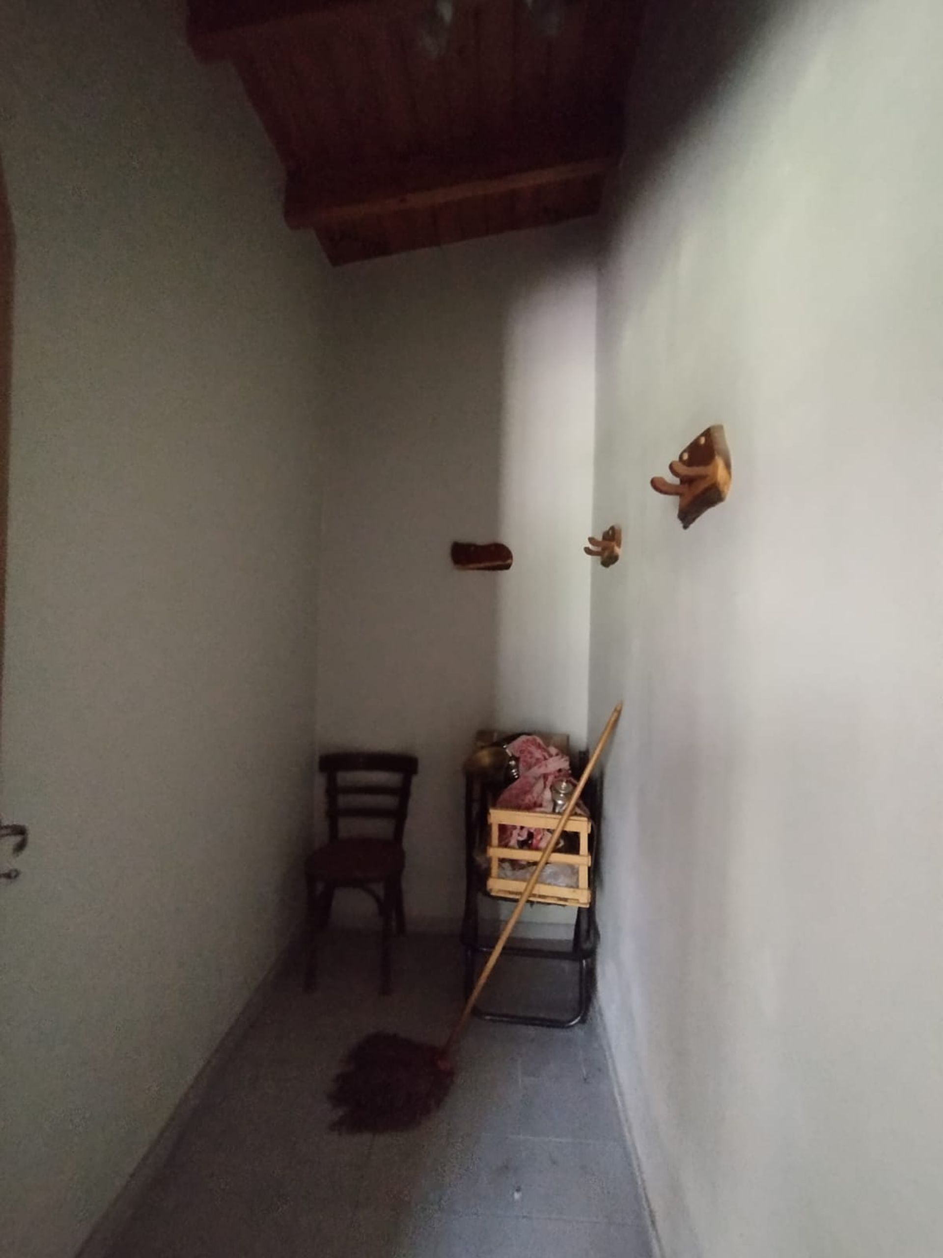 Imagen 8