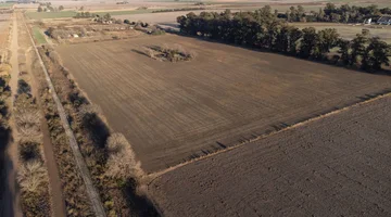 LOTE DE 10 HAS EN VENADO TUERTO