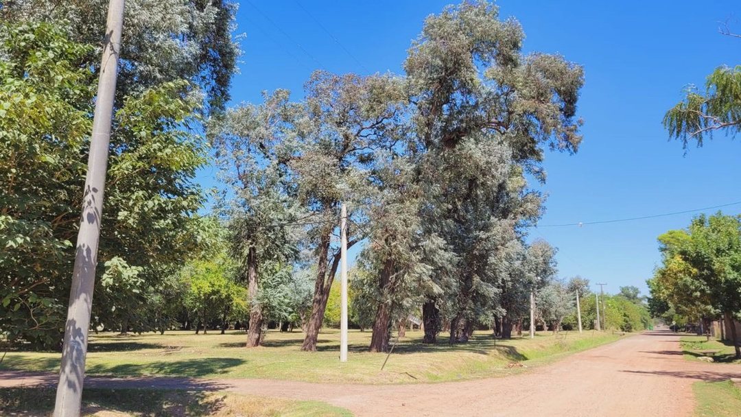 Lote 457,14m2 en Venta ALTO LOS ROBLES - Ibarlucea