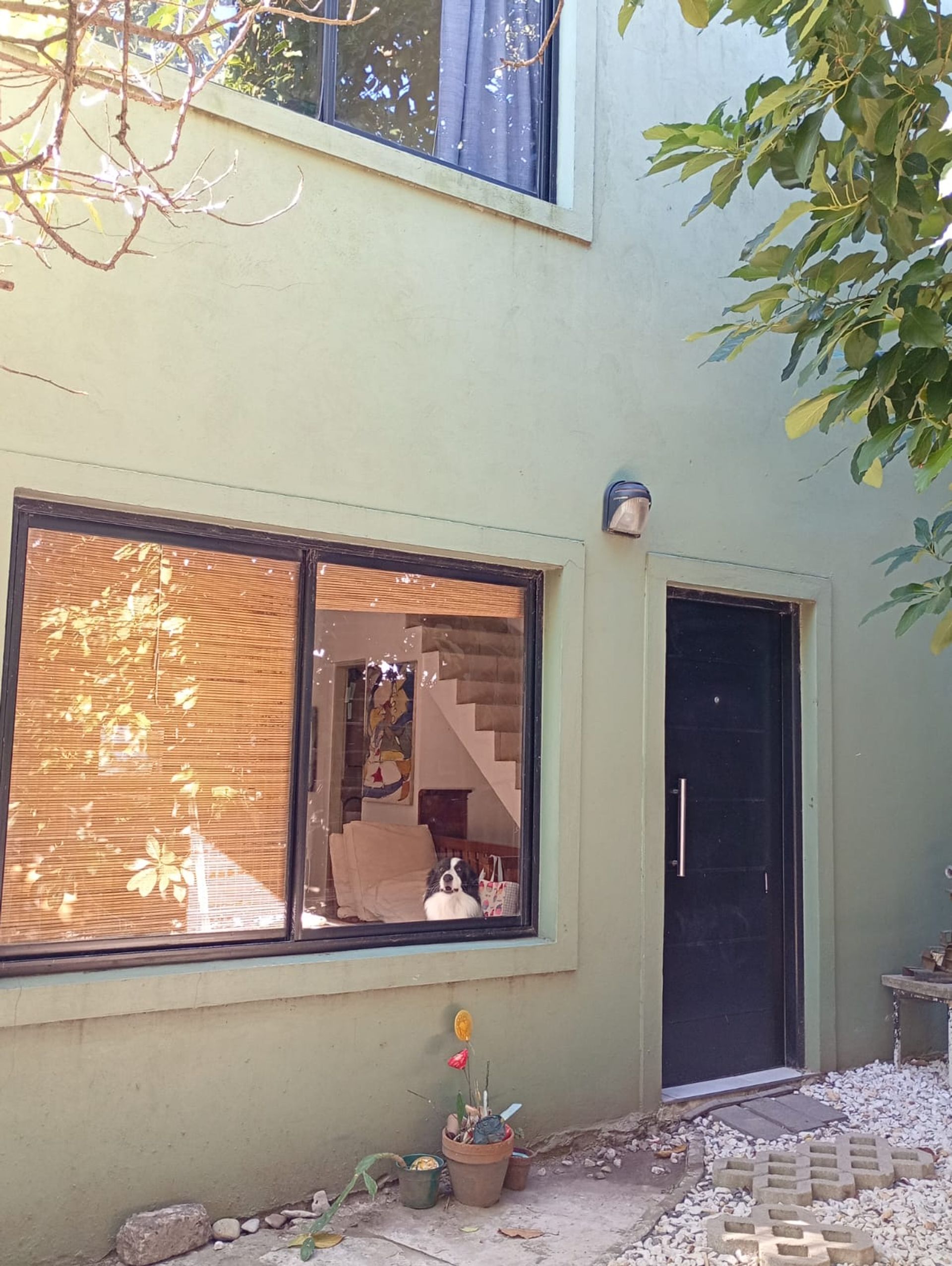 Foto 22 — VENTA DUPLEX - QUILMES OESTE