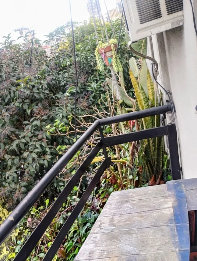 Departamento en venta en Balvanera, foto 4