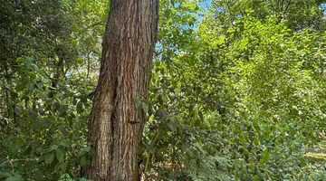 Terreno Virgen de 420 m2 en El Ensueño con Titulos