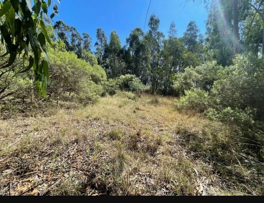 VENTA DE DOS LOTES EN ESTACIÓN CHAPADMALAL