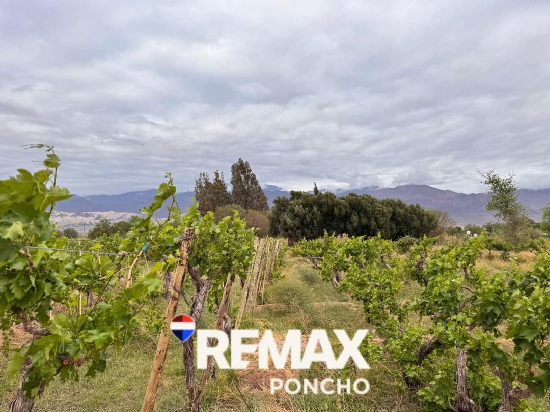 SE VENDE TERRENO EN FIAMBALA TINOGASTA