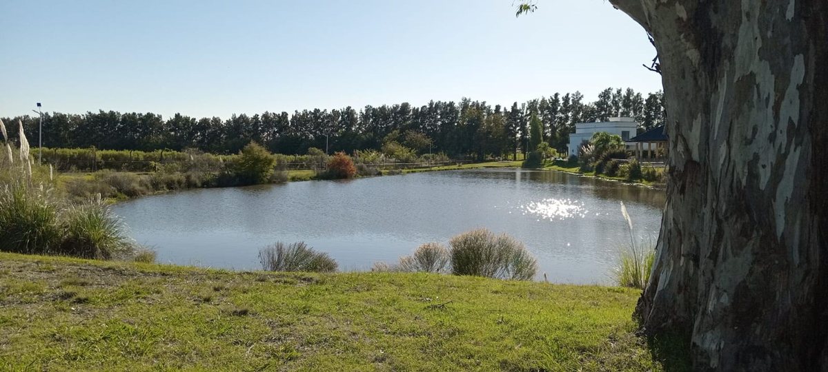 Foto 9 — LOTE VENTA 1017 M2 BARRIO PRIVADO MONET CAMPANA