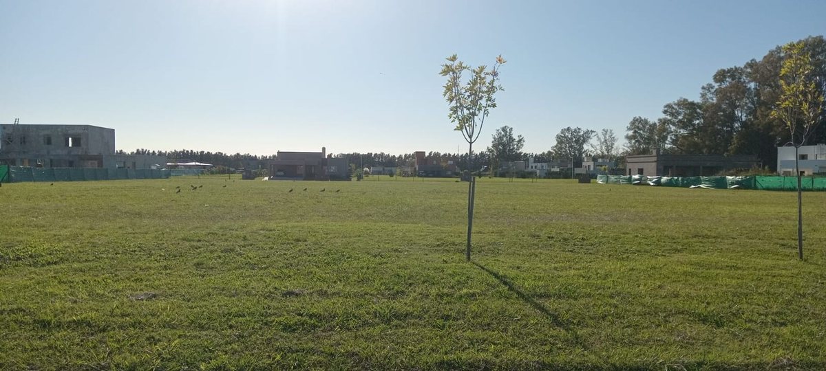Foto 5 — LOTE VENTA 1017 M2 BARRIO PRIVADO MONET CAMPANA