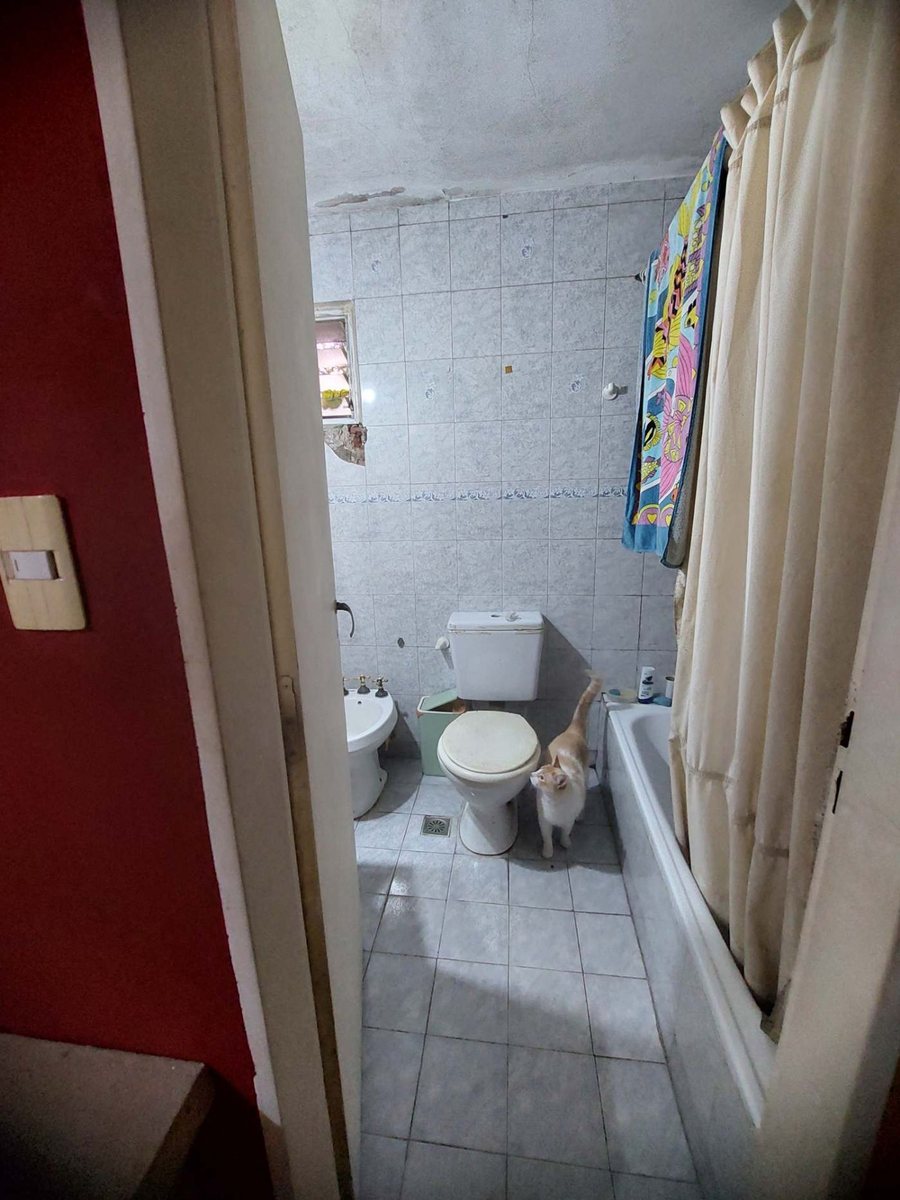 Foto 17 — VENTA DE 4 PH + LOCAL EN LOTE PROPIO,DEVOTO.