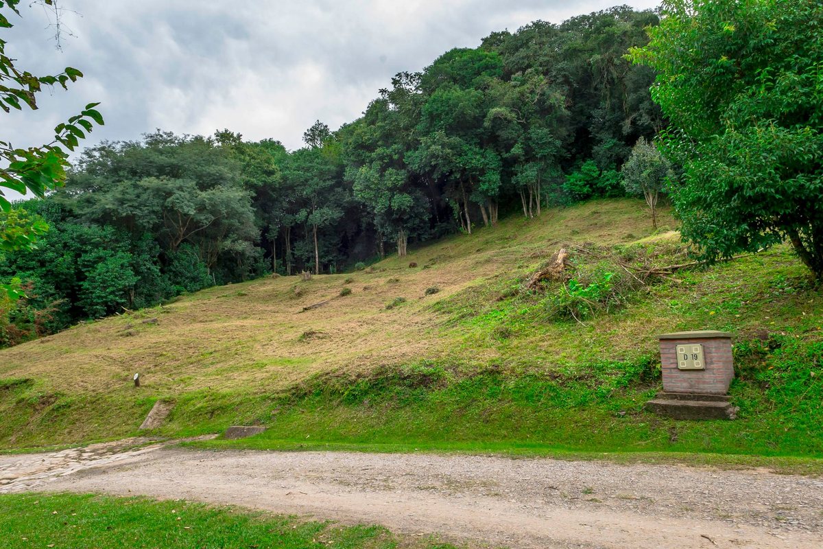 TERRENO EN VENTA LOS ZARZOS SAN LORENZO - foto 7