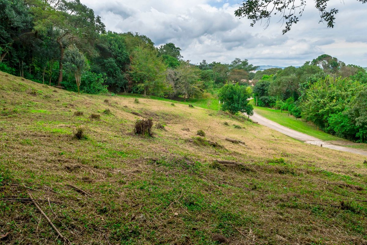 TERRENO EN VENTA LOS ZARZOS SAN LORENZO - foto 18