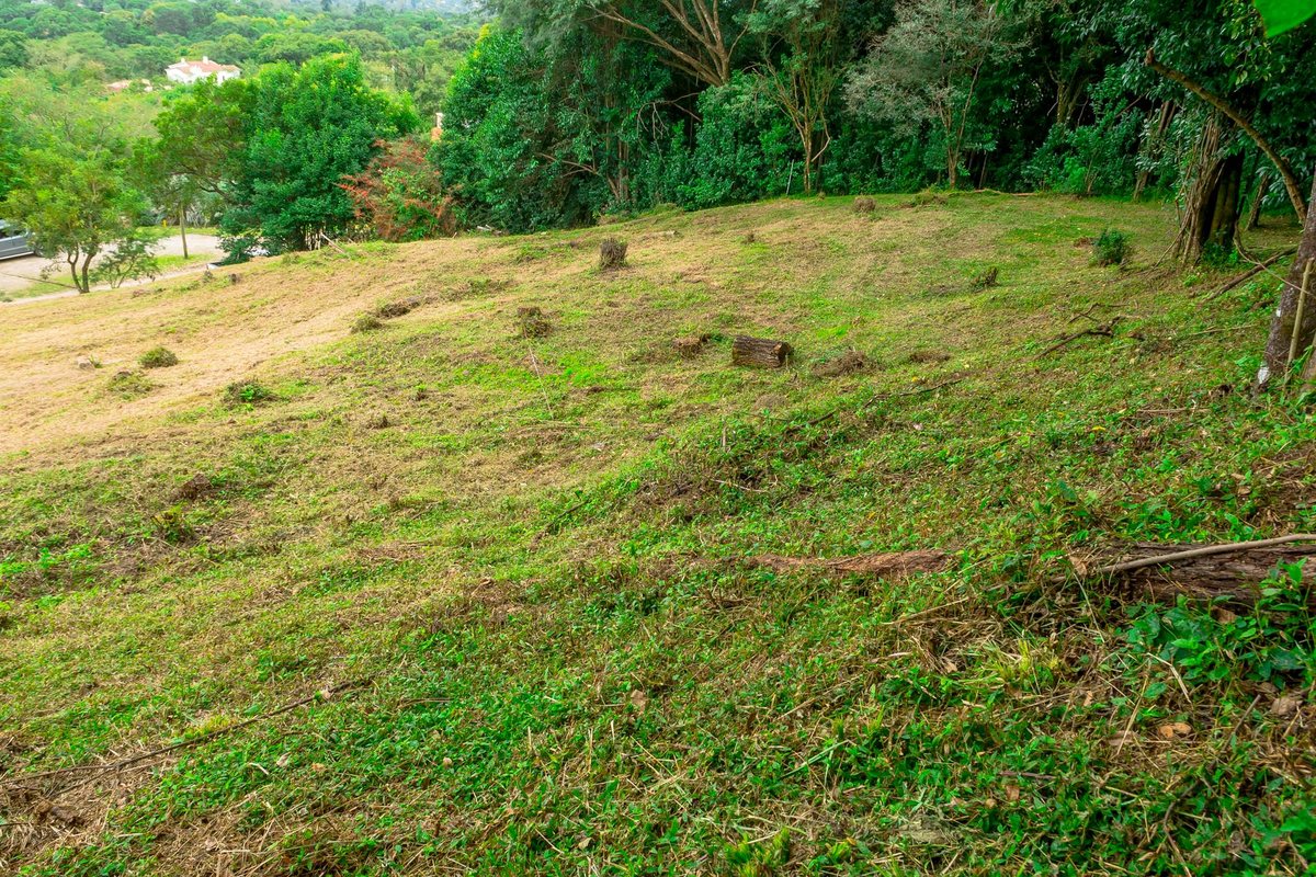 TERRENO EN VENTA LOS ZARZOS SAN LORENZO - foto 12