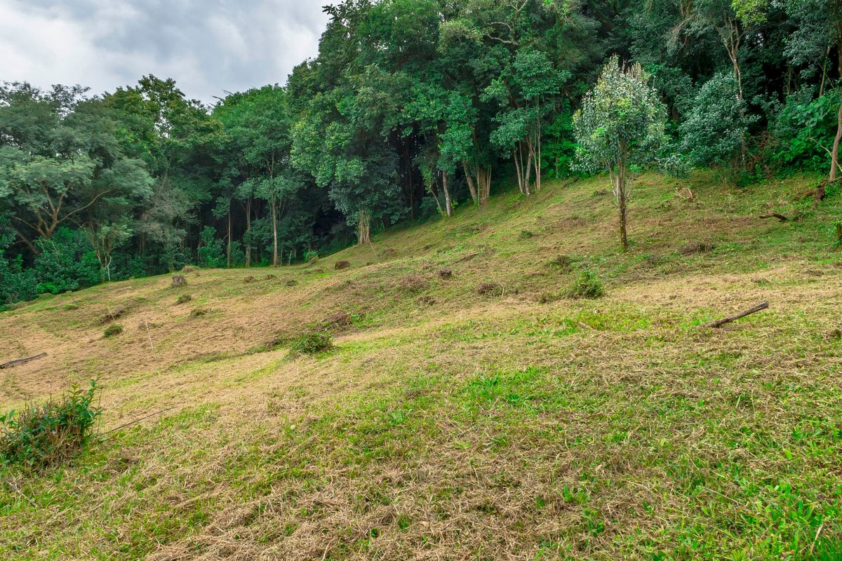 TERRENO EN VENTA LOS ZARZOS SAN LORENZO - foto 8