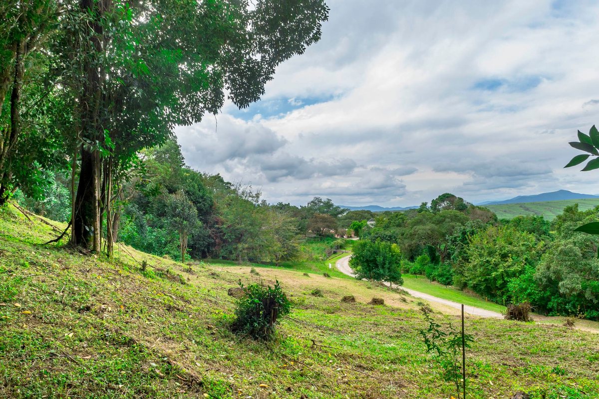 TERRENO EN VENTA LOS ZARZOS SAN LORENZO - foto 16