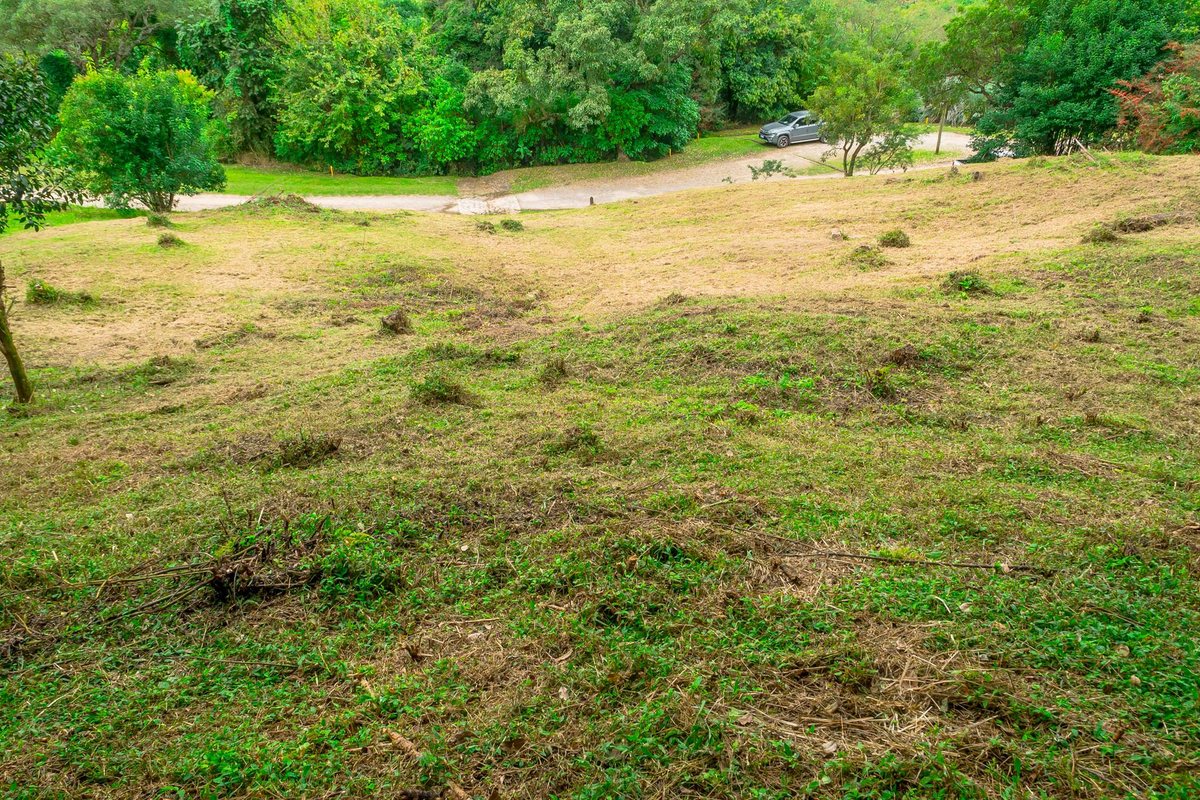 TERRENO EN VENTA LOS ZARZOS SAN LORENZO - foto 10
