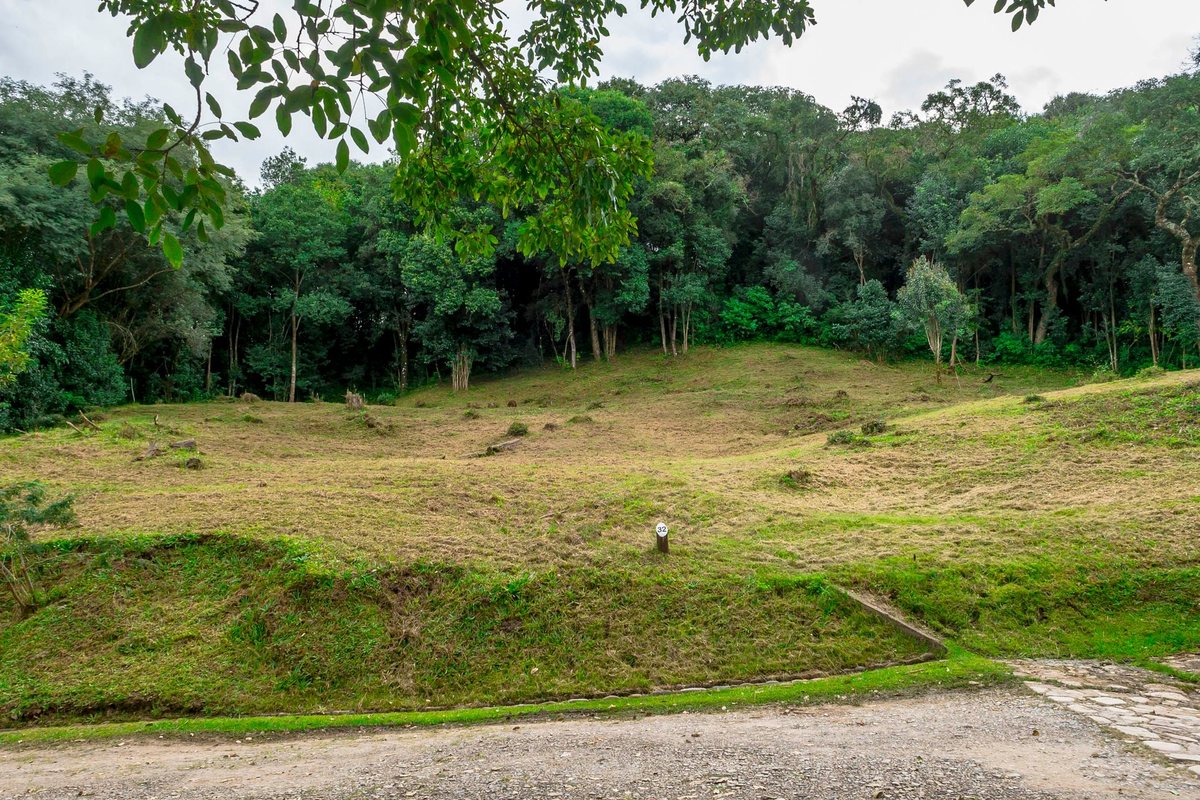 TERRENO EN VENTA LOS ZARZOS SAN LORENZO - foto 3