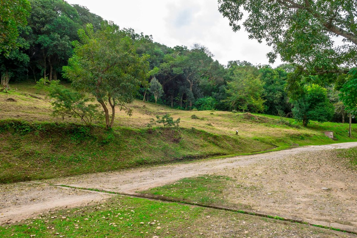 TERRENO EN VENTA LOS ZARZOS SAN LORENZO - foto 2