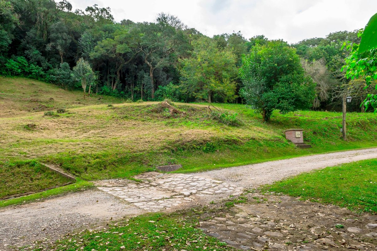 TERRENO EN VENTA LOS ZARZOS SAN LORENZO - foto 4