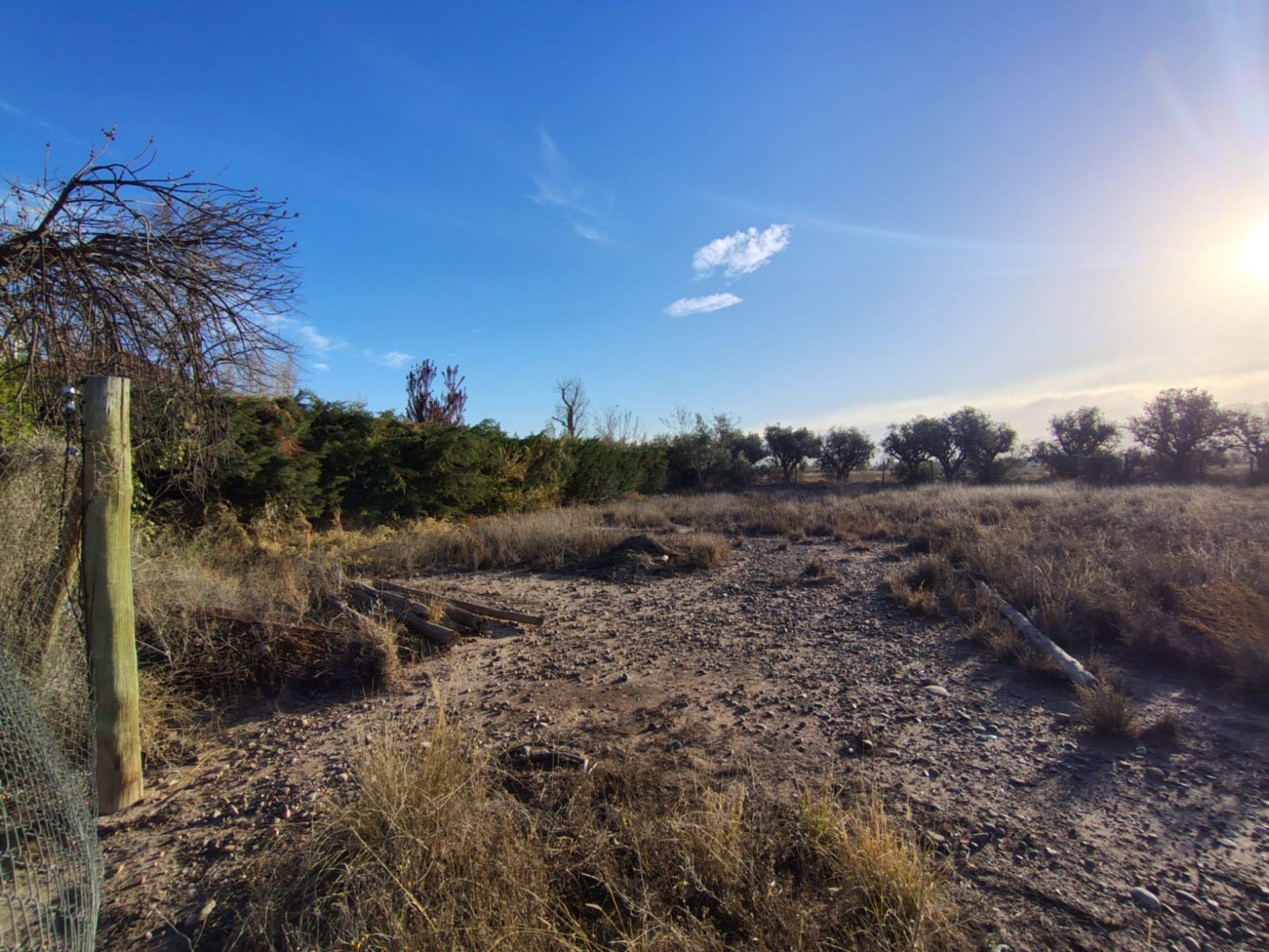 Imagen 21