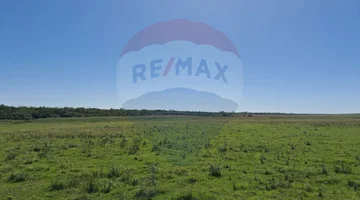 Venta Campo Río Negro - Ganadero Agrícola 350 has