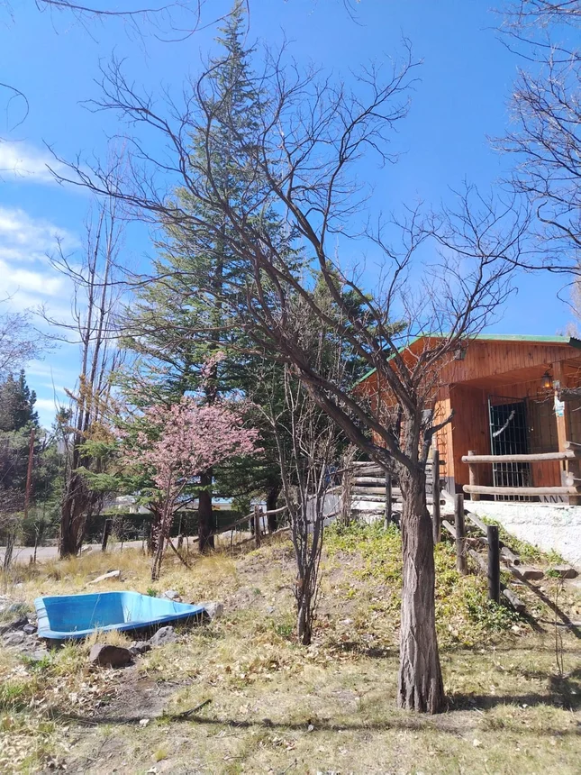 Casa en venta en Luján de Cuyo, foto 4
