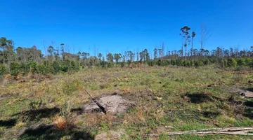 TERRENO EN VENTA CERCA DEL RIO EN C. ECHEVERRIA