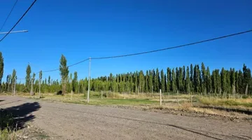 VENTA LOTE BARRIO RINCON LINDO - PLOTTIER