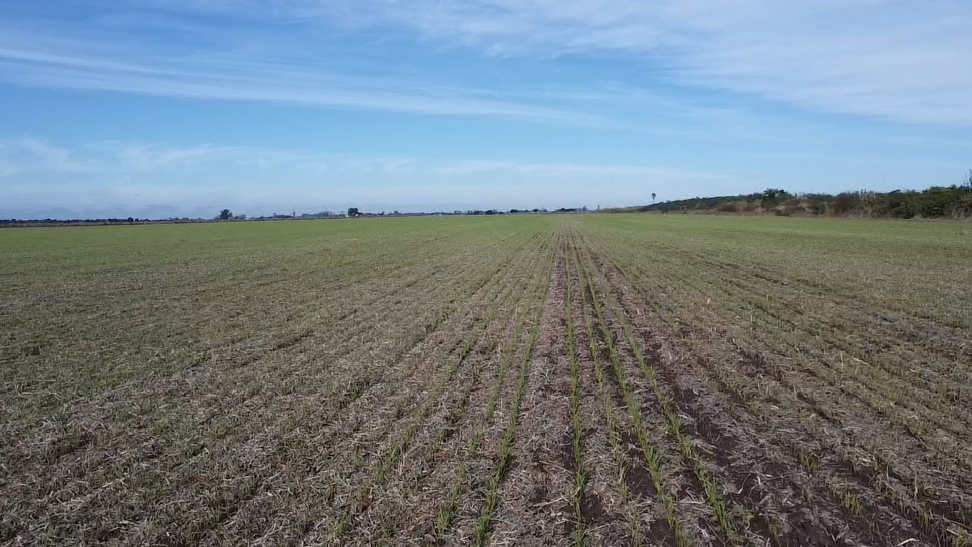 VENTA/CAMPO AGRICOLA/SUELO 1/RAFAELA