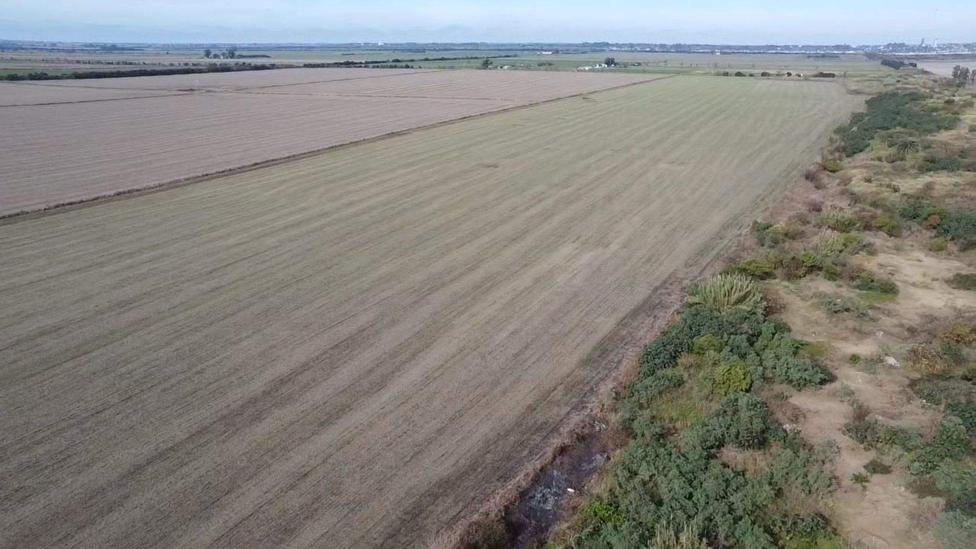 Foto 3 — VENTA/CAMPO AGRICOLA/SUELO 1/RAFAELA