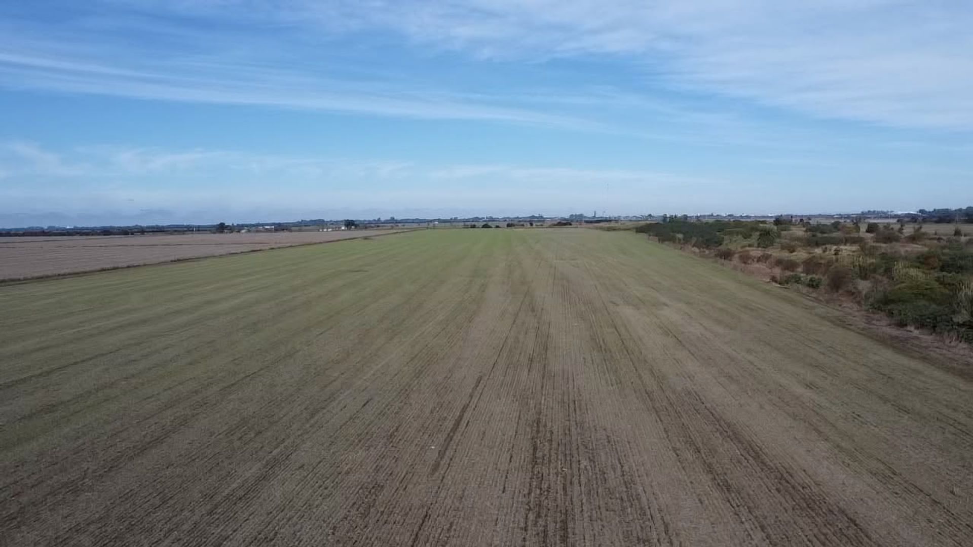 Foto 5 — VENTA/CAMPO AGRICOLA/SUELO 1/RAFAELA