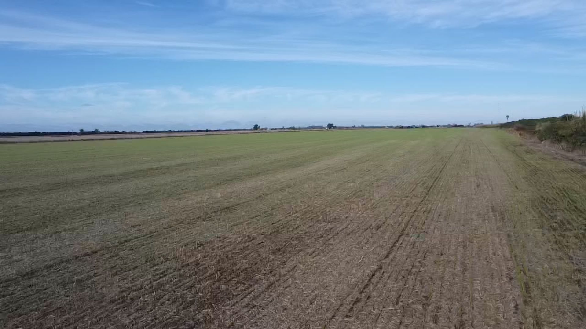 Foto 4 — VENTA/CAMPO AGRICOLA/SUELO 1/RAFAELA