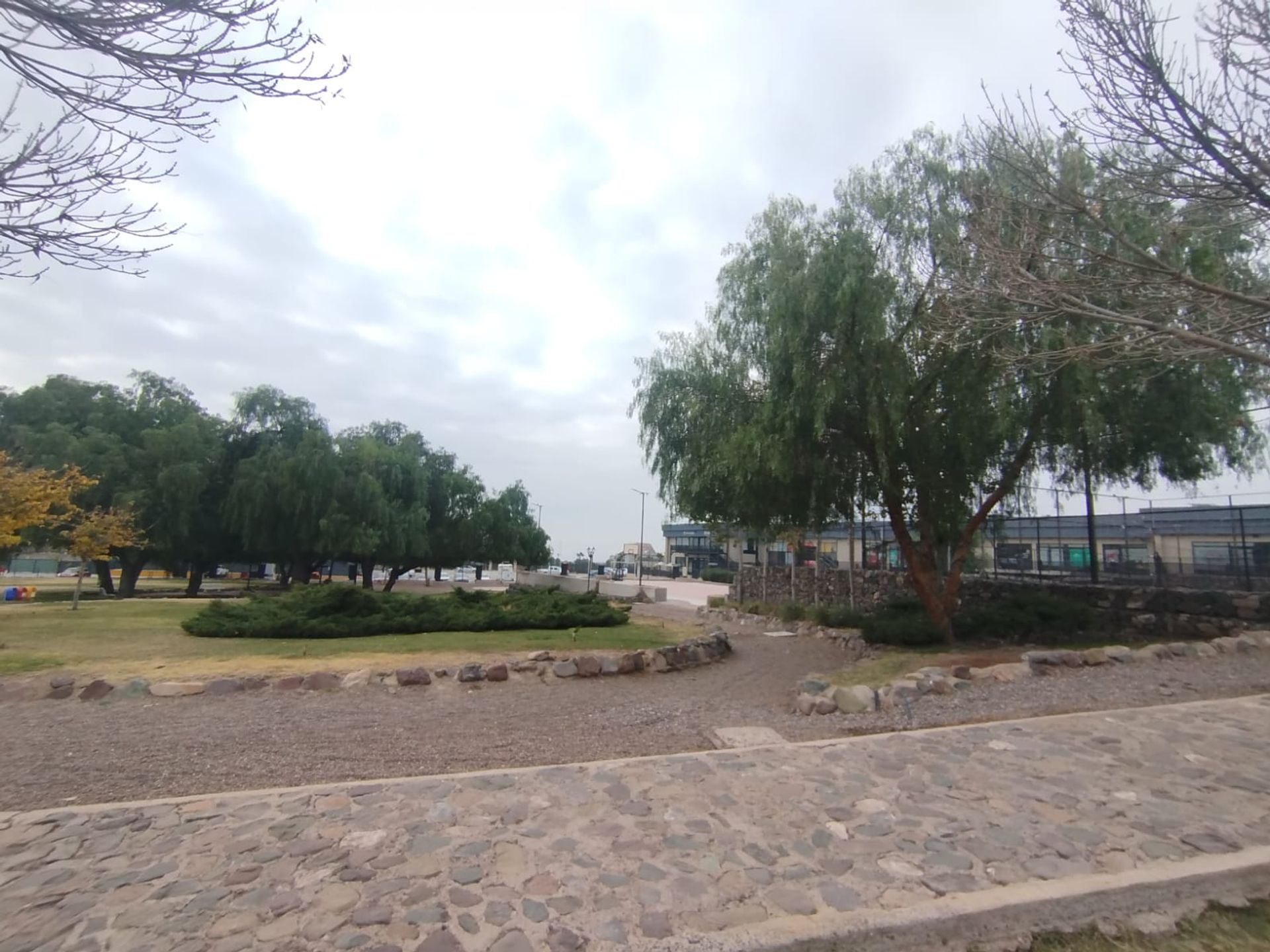 Imagen 36