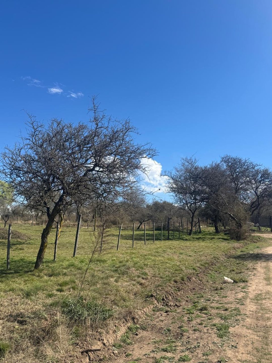VENTA LOTE CALAMUCHITA - 750 M2