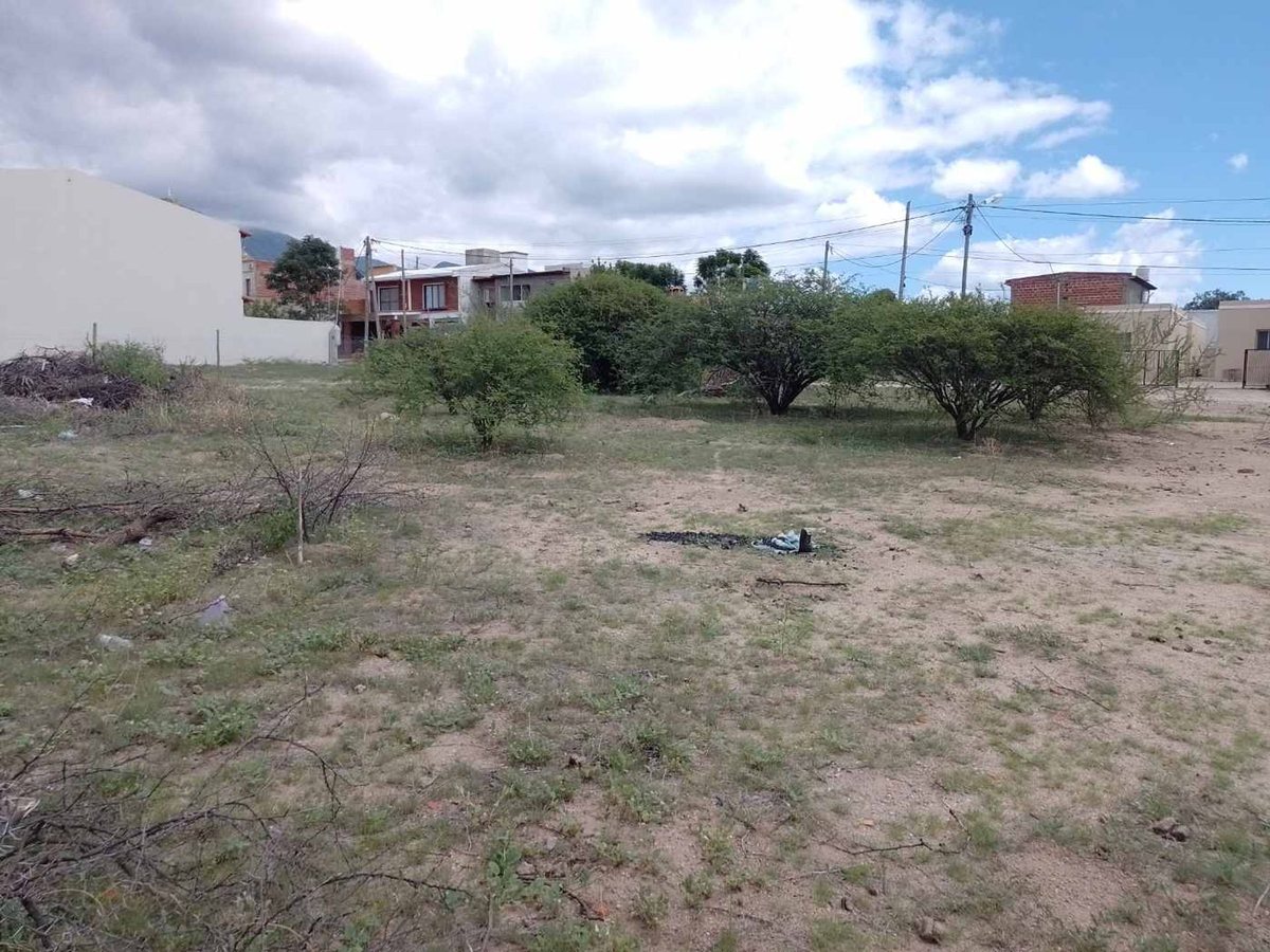 TERRENOS VENTA 300 MT2 PASEO LAS VIÑAS CAFAYATE - foto 4