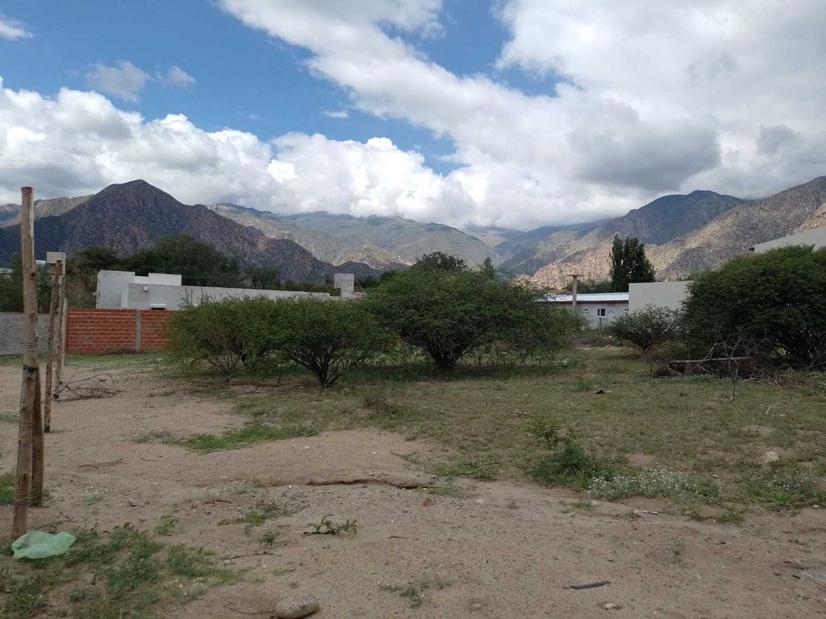 TERRENOS VENTA 300 MT2 PASEO LAS VIÑAS CAFAYATE - foto 2