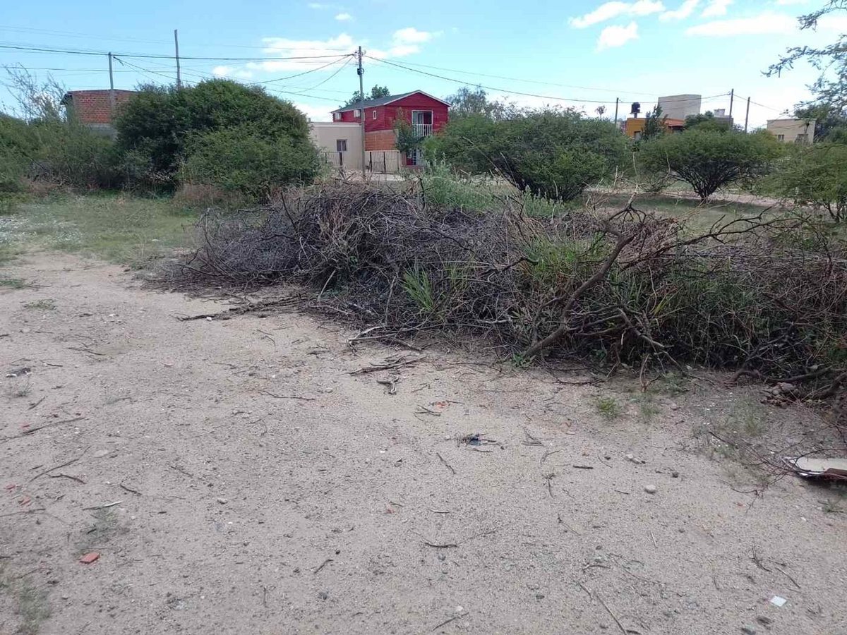 TERRENOS VENTA 300 MT2 PASEO LAS VIÑAS CAFAYATE - foto 6